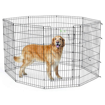 42‰Û? Black Exercise Pen with Full MAX Lock Door