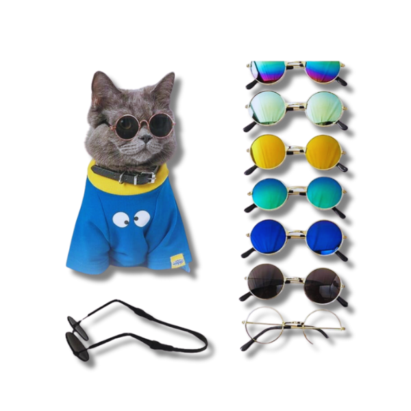 Saas Pet Sun Glass