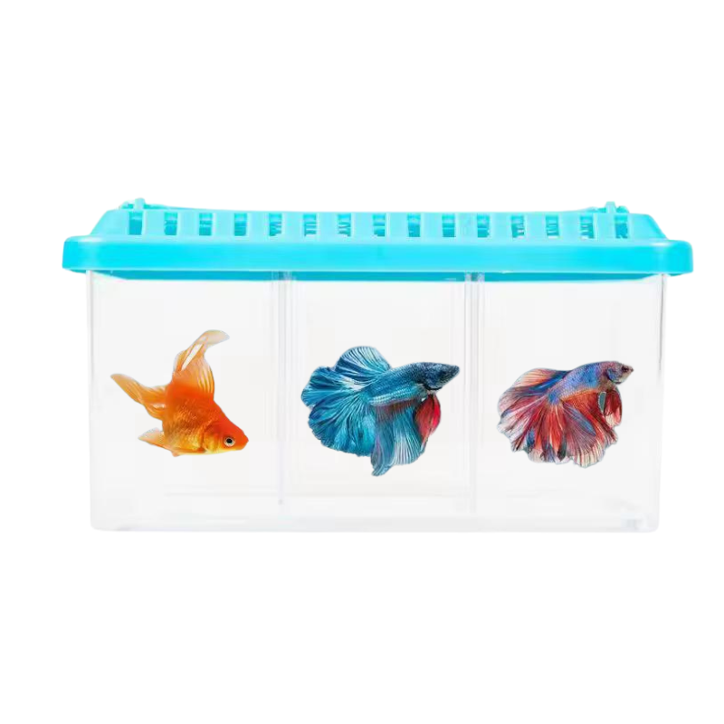 3 Compartment Betta Box 19*8.5*8.5