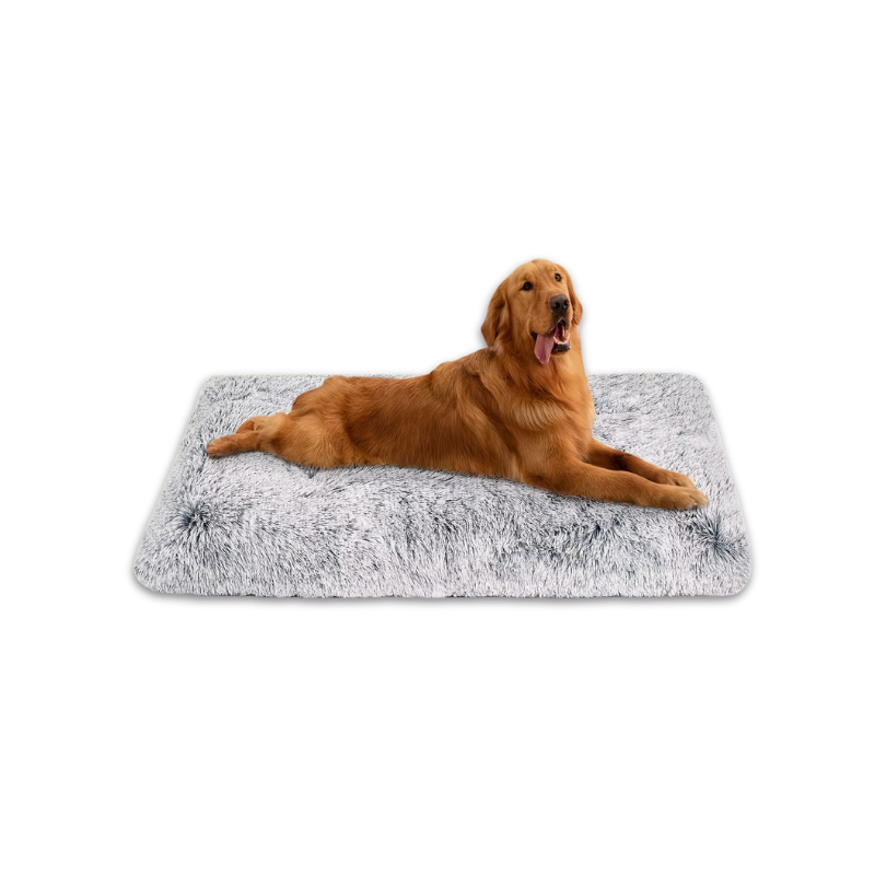 Pet Blanket