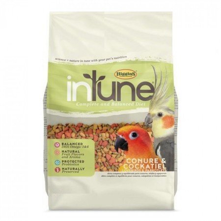 higgins, dubai pet food, pet shop near me, puppies online, pet, buy pet, pet food in dubai, pet clothes shop, pet store dubai, dog food dubai, pet online, pet shops in dubai, pets market warsan