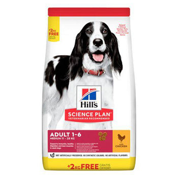 hills, hill's, dubai pet food, pet shop near me, puppies online, pet, buy pet, pet food in dubai, pet clothes shop, pet store dubai, dog food dubai, pet online, pet shops in dubai, pets market warsan