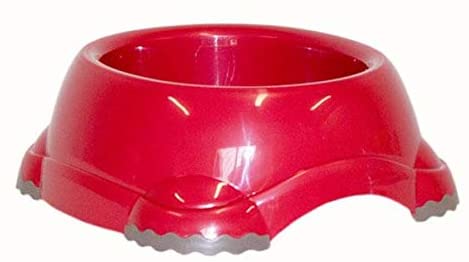 dubai pet food, pet shop near me, puppies online, pet, buy pet, pet food in dubai, pet clothes shop, pet store dubai, dog food dubai, pet online, pet shops in dubai, pets market warsan