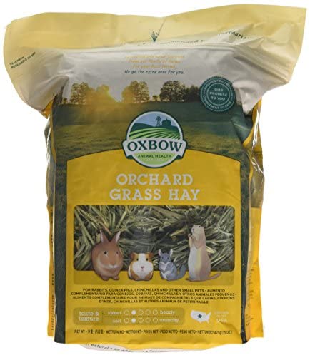 oxbow, dubai pet food, pet shop near me, puppies online, pet, buy pet, pet food in dubai, pet clothes shop, pet store dubai, dog food dubai, pet online, pet shops in dubai, pets market warsan