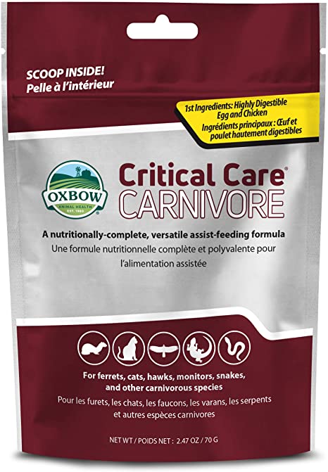 oxbow, dubai pet food, pet shop near me, puppies online, pet, buy pet, pet food in dubai, pet clothes shop, pet store dubai, dog food dubai, pet online, pet shops in dubai, pets market warsan