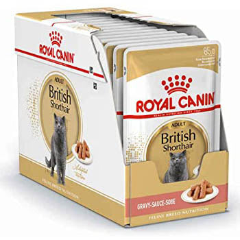 تغذية سلالات القطط البريطانية قصيرة الشعر (طعام رطب - أكياس)