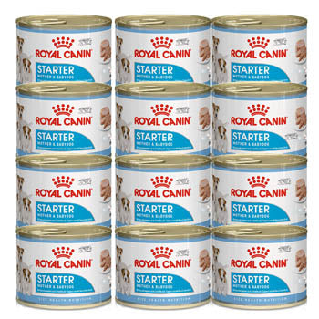 Canine Health Nutrition Starter Mousse (WET FOOD - Cans) Tray of 12x195g