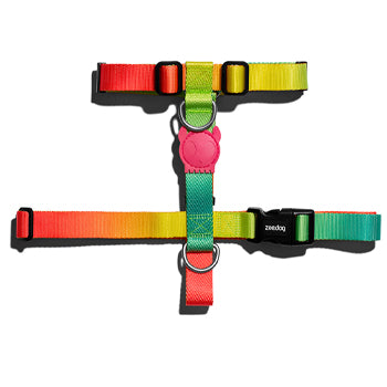 Zee.Dog Citrus H-Harness Extra Small