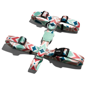 حزام ماركوتش H كبير الحجم من Zee.Dog