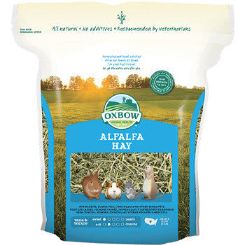 Alfalfa Hay 15oz