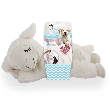 صديق صغير ينبض قلبه بالخراف