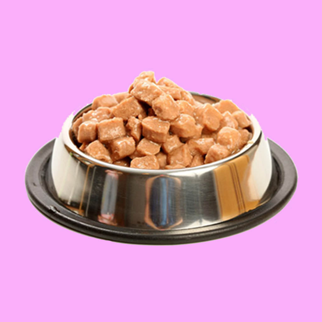 Dog Wet Food