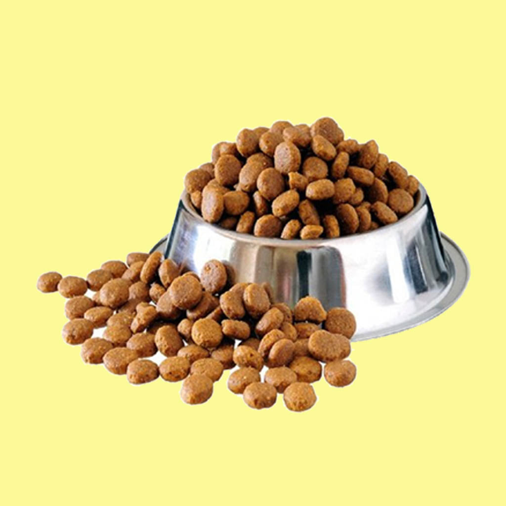 Dog Dry Food