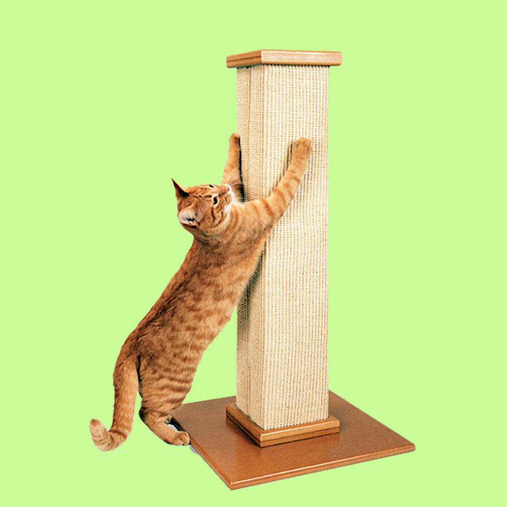 Cat Scratcher
