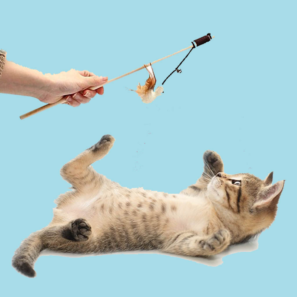 Cat Toys
