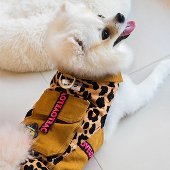 Dog Outfit - Brown