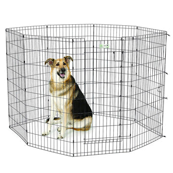 48‰Û? Black Exercise Pen with Full MAX Lock Door