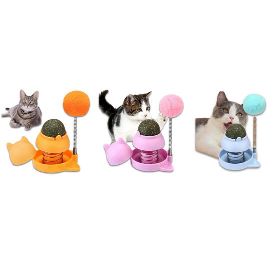 Saas Cat Toy With Catnip