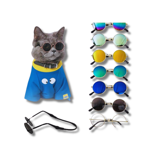 Saas Pet Sun Glass