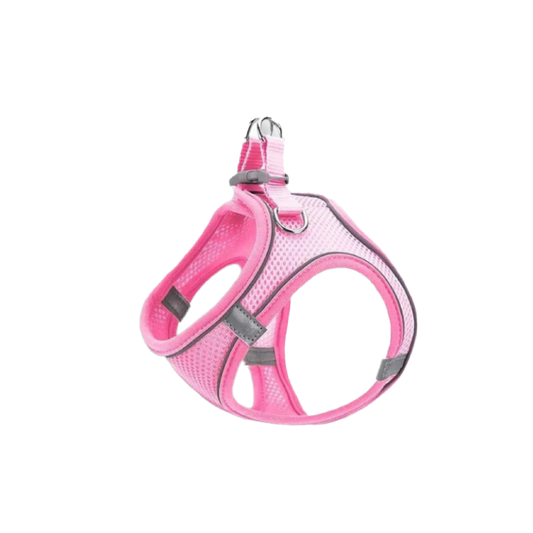 Saas Pet Mesh Harness + Leash Xxs