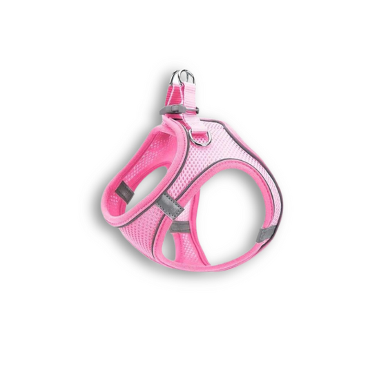 Saas Pet Mesh Harness + Leash Small