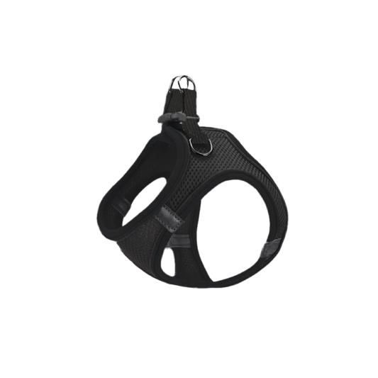 Saas Pet Mesh Harness + Leash Small