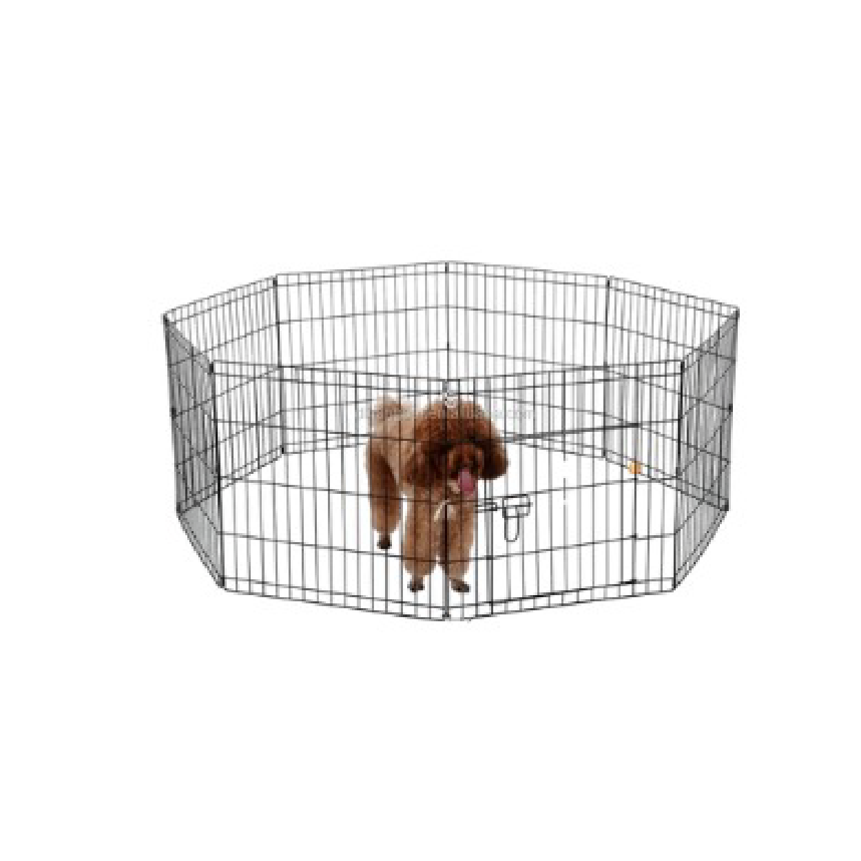 Saas Dog Play Pen XL- 110X62 Cm 42Inch