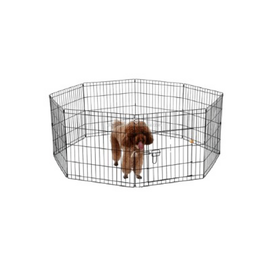 Saas Dog Play Pen XL- 110X62 Cm 42Inch