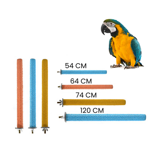 Saas Bird Perch Stick 64 CM