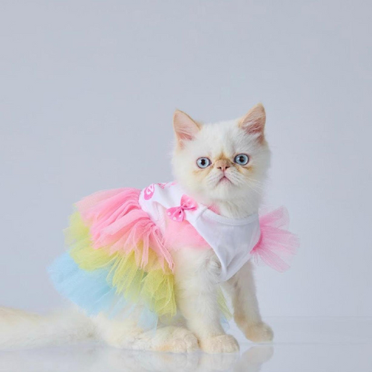 Pet Dress Barbie