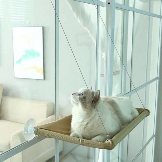 Saas Cat Hammock