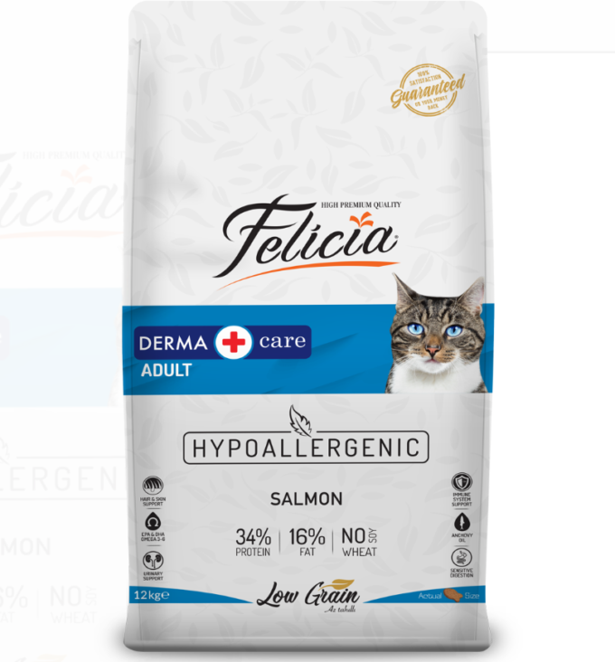 Derma Care Adult Salmon 2kg
