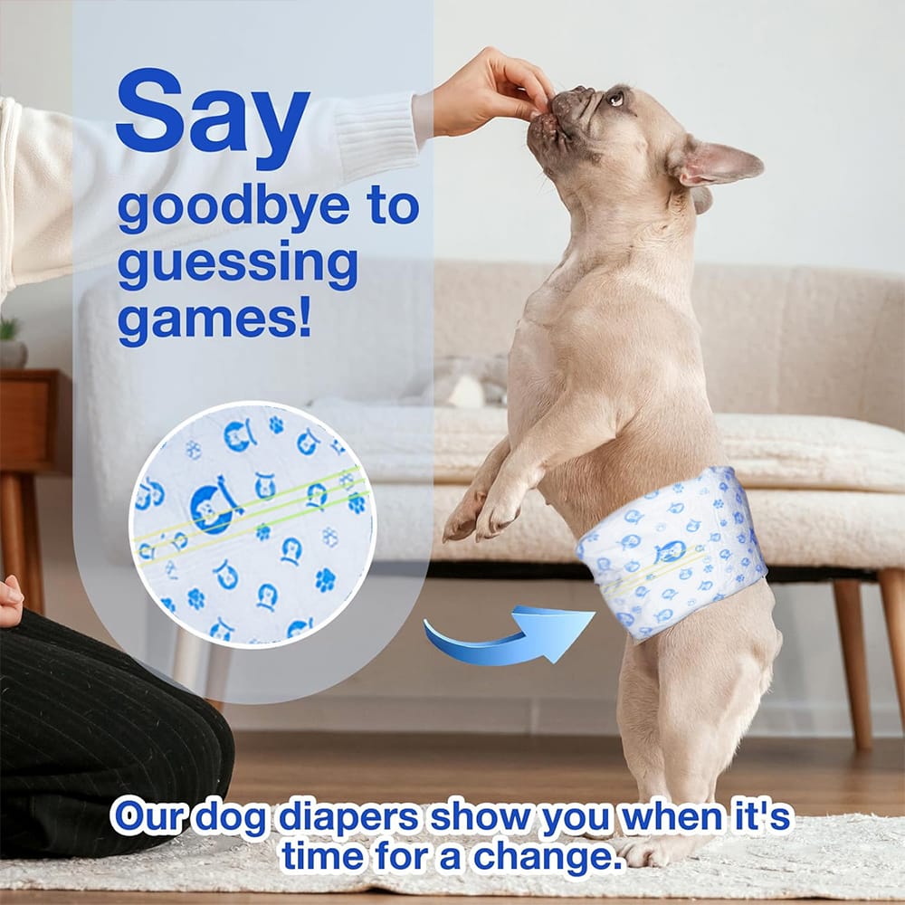 Keep Dry Male Dog Diaper (Small)