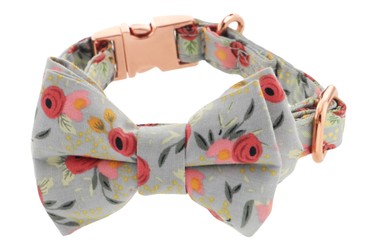 Saas Pet Collar With Bowknot
